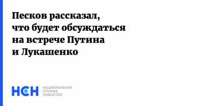 Владимир Путин - Дмитрий Песков - Александр Лукашенко - Михаил Мишустин - Роман Головченко - Виктор Бабарико - Песков рассказал, что будет обсуждаться на встрече Путина и Лукашенко - nsn.fm - Сочи - Белоруссия