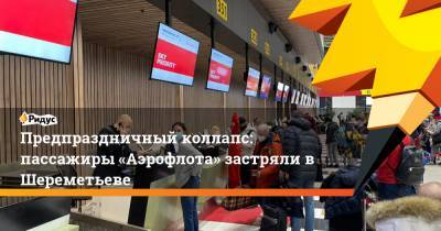 Предпраздничный коллапс: пассажиры «Аэрофлота» застряли в Шереметьеве - ridus.ru - Сочи
