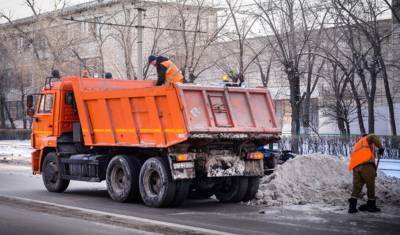 Владимир Николаев - Скандал со свалкой снега в Тюмени может выйти на новый уровень - nashgorod.ru - Тюмень - Тюменская обл.