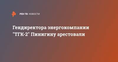 Гендиректора энергокомпании "ТГК-2" Пинигину арестовали - ren.tv - Архангельск - Архангельская обл.