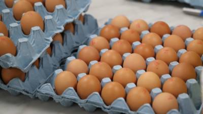 Олег Пендзин - В Украине цены на яйца, сахар и масло в ближайшее время расти не будут, - эксперты - ru.espreso.tv