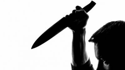 Житель Челябинска зарезал 22-летнюю девушку и сбежал - nation-news.ru - Царьград - Челябинск