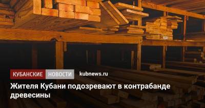 Жителя Кубани подозревают в контрабанде древесины - kubnews.ru - Краснодарский край - респ. Алания - Кубань