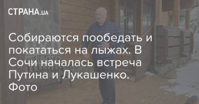 Владимир Путин - Александр Лукашенко - Собираются пообедать и покататься на лыжах. В Сочи началась встреча Путина и Лукашенко. Фото - strana.ua - Сочи - Белоруссия