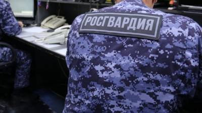 Бойцы Росгвардии сняли праздничный ролик в честь 23 февраля - politros.com - Москва - Ленинградская обл. - Санкт-Петербург
