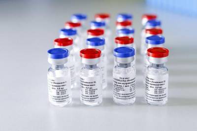Тридцатая страна одобрила российскую вакцину "Спутник V" - obzor.lt - Сан Марино - Сан Марино
