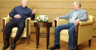 Владимир Путин - Александр Лукашенко - Лукашенко заявил, что к осени в Белоруссии создадут вакцину от COVID - ren.tv - Сочи - Белоруссия