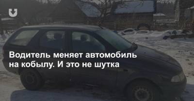 Борисов - Водитель меняет автомобиль на кобылу. И это не шутка - news.tut.by