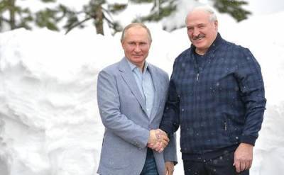 Владимир Путин - Александр Лукашенко - В Сочи проходят переговоры Путина и Лукашенко - argumenti.ru - Сочи - Белоруссия