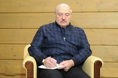 Владимир Путин - Александр Лукашенко - Лукашенко объявил о создании собственной вакцины от коронавируса - lenta.ru - Сочи - Белоруссия