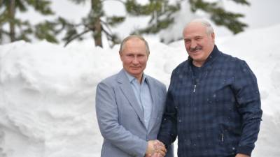 Владимир Путин - Александр Лукашенко - В Красной поляне проходит встреча Путина и Лукашенко - svoboda.org - Сочи - Белоруссия