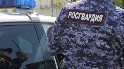 Росгвардия выпустила видеоролик, посвященный Дню защитника Отечества - polit.info - Россия