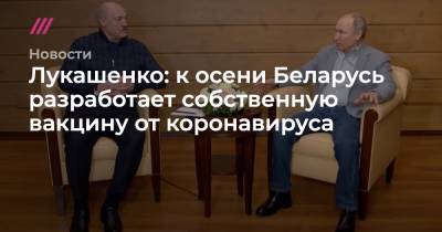 Андрей Гончаров - Лукашенко: к осени Беларусь разработает собственную вакцину от коронавируса - tvrain.ru - Белоруссия