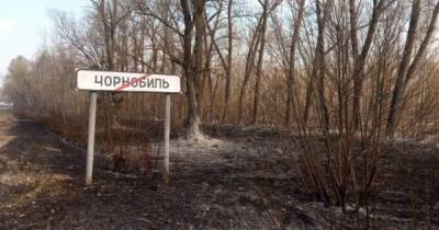 Кирилл Тимошенко - "Для привлечения иностранных туристов": Украина обсудит с НВО создание локации в Чернобыле - focus.ua