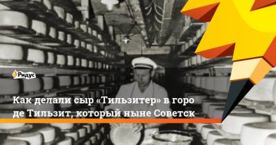 Как делали сыр «Тильзитер» вгороде Тильзит, который ныне Советск - ridus.ru - Швейцария - Калининградская обл. - Советск - Пруссия