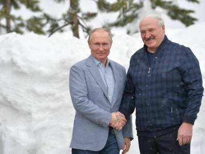 Владимир Путин - Александр Лукашенко - На встрече с Путиным Лукашенко похвалил «Спутник V» и сообщил, когда ждать белорусскую вакцину - bloknot.ru - Сочи - Белоруссия