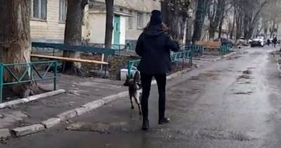 Домашний тиран отправил жительницу Одесчины замерзать на мороз, досталось также полицейскому: видео с места - odessa.politeka.net - Одесская обл. - Нападение