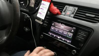 Агрессивная мать с ребенком побила таксиста в Новороссийске за отказ ехать без кресла - inforeactor.ru - Новороссийск