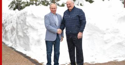 Владимир Путин - Александр Лукашенко - Лукашенко рассказал о готовности дорожных карт по сотрудничеству с Россией - profile.ru - Москва - Сочи - Белоруссия - Минск