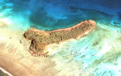 Женщина обнаружила на картах Google остров-пенис - korrespondent.net - шт. Мичиган - Находка - Новая Каледония