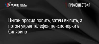 Цыган просил попить, затем выпить, а потом украл телефон пенсионерки в Синявино - ivbg.ru - р-н Кировский