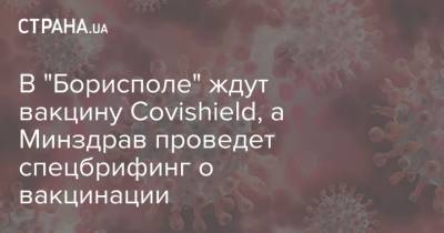 Виктор Ляшко - В "Борисполе" ждут посадку самолета с Covishield, а Минздрав проведет спецбрифинг о вакцинации - strana.ua - Киев