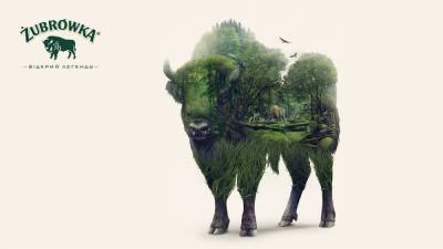 Секреты бренда Zubrowka Bison Grass: путь от Беловежской пущи до полки в магазине - 24tv.ua