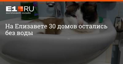 Артем Устюжанин - На Елизавете 30 домов остались без воды - e1.ru