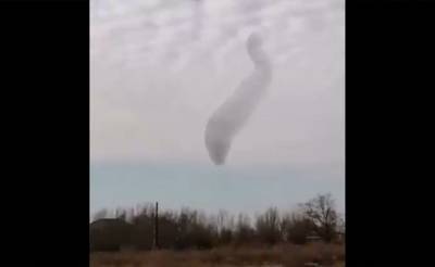 В Каракалпакстане на видео попали невероятные небесные "танцы" птиц. Видео - podrobno.uz - Узбекистан - Ташкент