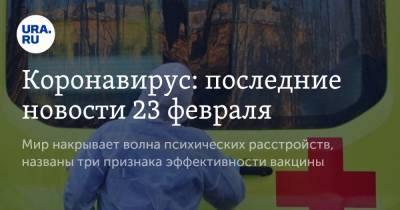 Владимир Путин - Александр Лукашенко - Коронавирус: последние новости 23 февраля. Мир накрывает волна психических расстройств, названы три признака эффективности вакцины - ura.news - США - Белоруссия - Бразилия - Минск - Ухань