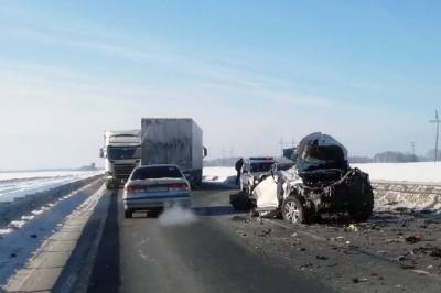 На трассе «Томск – Новосибирск» произошла смертельная авария - runews24.ru - Новосибирск - Томск