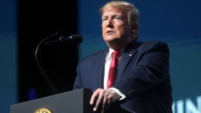 Дональд Трамп - Союзники Трампа не исключили его возвращение в политику - riafan.ru - США - Вашингтон