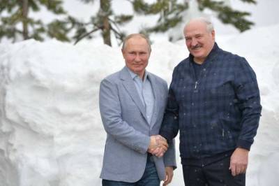 Владимир Путин - Александр Лукашенко - Николай Лукашенко - Переговоры Лукашенко и Путина: Об истинных итогах станет ясно в... - politnavigator.net - Россия - Сочи - Белоруссия