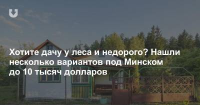 Как выглядят дачи со светом, водой и отоплением до 10 тысяч долларов под Минском - news.tut.by - Минск
