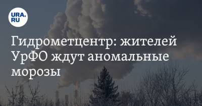 Евгений Тишковец - Роман Вильфанд - Гидрометцентр: жителей УрФО ждут аномальные морозы - ura.news - Красноярский край - Тюменская обл. - респ. Хакасия