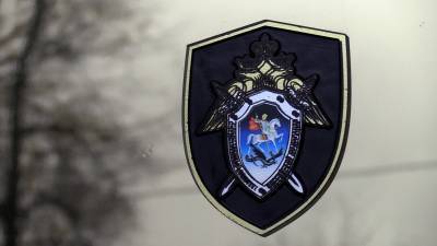 Аглая Чайковская - СК проводит проверку после избиения подростками 12-летнего мальчика - politros.com - Новосибирск