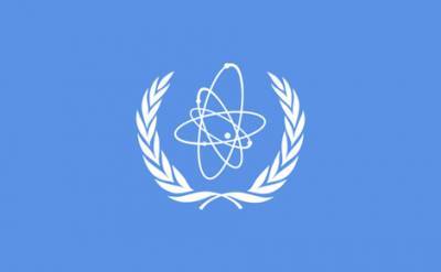 Рафаэль Гросси - Решение Ирана об ограничении инспекционной деятельности МАГАТЭ сегодня вступает в силу - echo.msk.ru - Иран - Тегеран