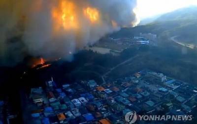 В Южной Корее вспыхнул масштабный лесной пожар - news.bigmir.net - Южная Корея