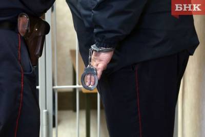 В МВД по Коми опровергли информацию о задержанном с отмороженными руками - bnkomi.ru - респ. Коми - район Усть-Куломский