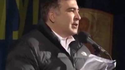 Михаил Саакашвили - Нино Бурджанадзе - Георгий Гахария - Саакашвили пообещал победить грузинских лидеров - vesti.ru - Грузия