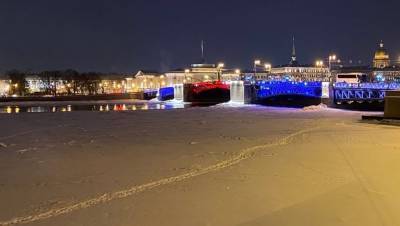 Дворцовый мост подсветят триколором 23 февраля - dp.ru - Санкт-Петербург