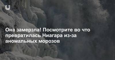 Она замерзла! Посмотрите во что превратилась Ниагара из-за аномальных морозов - news.tut.by - США - шт. Нью-Йорк