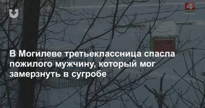 В Могилеве третьеклассница спасла пожилого мужчину, который мог замерзнуть в сугробе - news.tut.by
