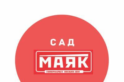 Гипермаркет низких цен «МАЯК» представил топ товаров недели - mk-pskov.ru - Псков