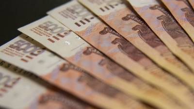 Омич "потратил" 160 тыс. рублей при покупке пуховика в интернете - inforeactor.ru - Омск