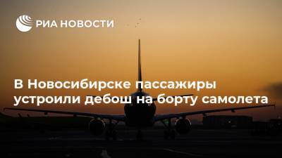 В Новосибирске пассажиры устроили дебош на борту самолета - ria.ru - Москва - Россия - Новосибирск