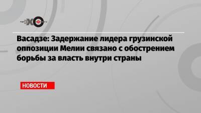 Васадзе: Задержание лидера грузинской оппозиции Мелии связано с обострением борьбы за власть внутри страны - echo.msk.ru - Москва - Грузия