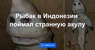 Анна Лысенко - Рыбак в Индонезии поймал странную акулу - news.mail.ru - Индонезия