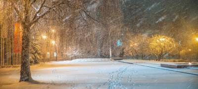 В Карелии 24 февраля потеплеет и начнется метель - stolicaonego.ru - Петрозаводск - республика Карелия