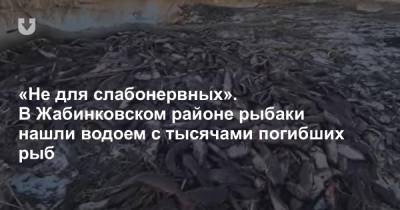 «Не для слабонервных». В Жабинковском районе рыбаки нашли водоем с тысячами погибших рыб - news.tut.by - Брест